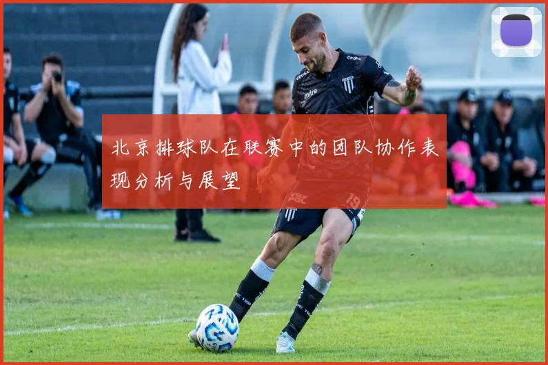 北京排球队在联赛中的团队协作表现分析与展望