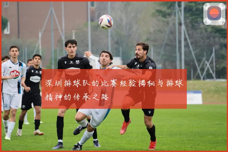深圳排球队的比赛经验揭秘与排球精神的传承之路