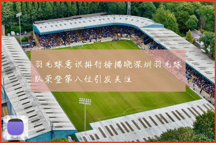 羽毛球意识排行榜揭晓深圳羽毛球队荣登第八位引发关注