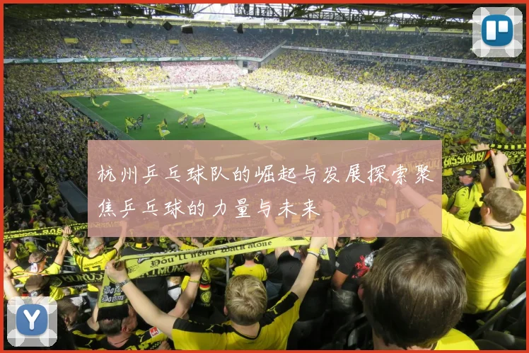 杭州乒乓球队的崛起与发展探索聚焦乒乓球的力量与未来