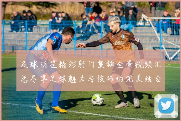 足球明星精彩射门集锦全景视频汇总尽享足球魅力与技巧的完美结合