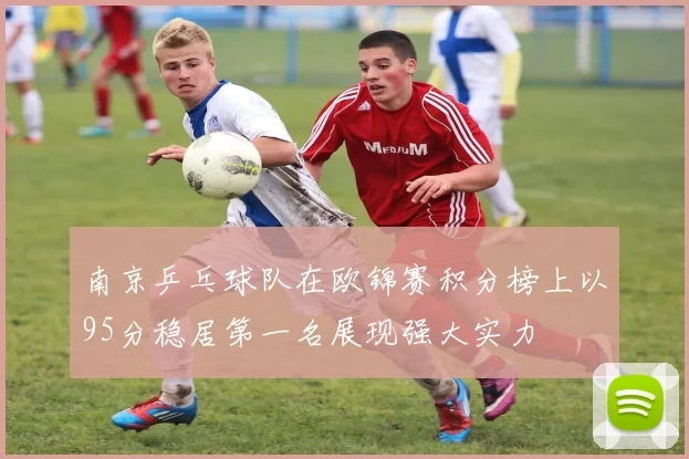 南京乒乓球队在欧锦赛积分榜上以95分稳居第一名展现强大实力