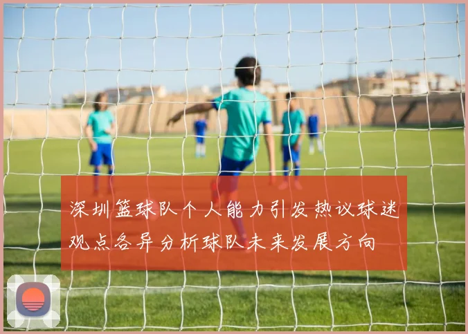 深圳篮球队个人能力引发热议球迷观点各异分析球队未来发展方向