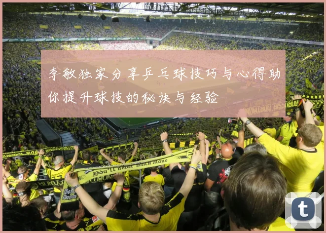 李敏独家分享乒乓球技巧与心得助你提升球技的秘诀与经验