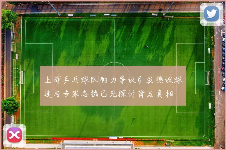 上海乒乓球队耐力争议引发热议球迷与专家各执己见探讨背后真相