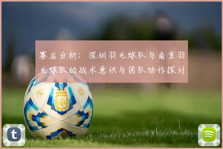 赛后分析：深圳羽毛球队与南京羽毛球队的战术意识与团队协作探讨