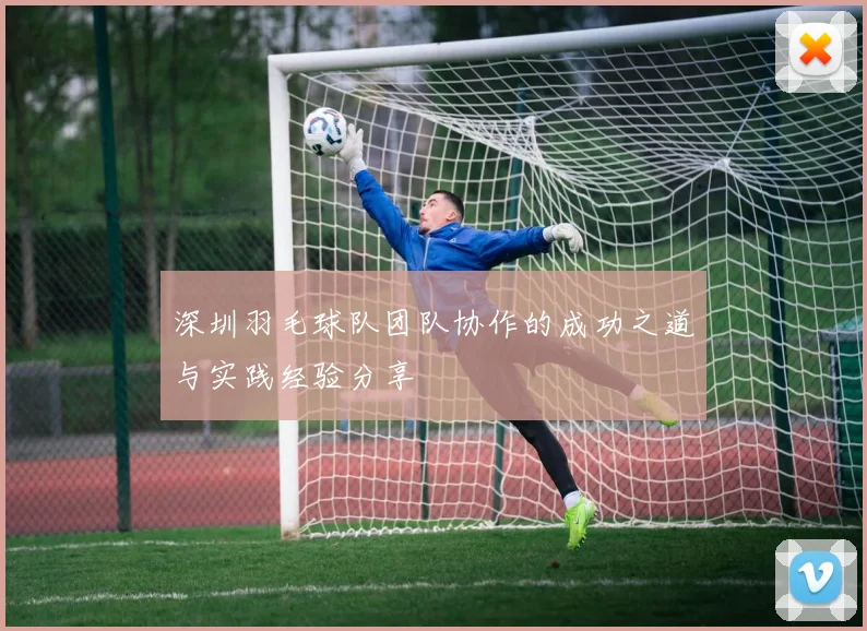 深圳羽毛球队团队协作的成功之道与实践经验分享