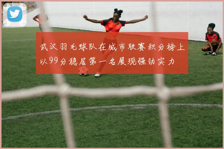 武汉羽毛球队在城市联赛积分榜上以99分稳居第一名展现强劲实力