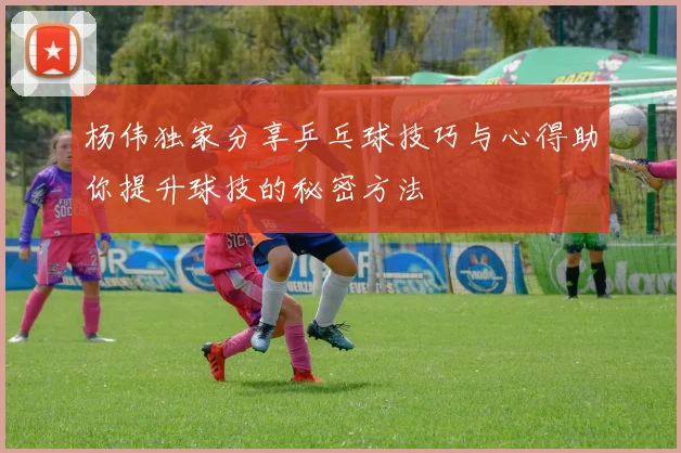 杨伟独家分享乒乓球技巧与心得助你提升球技的秘密方法