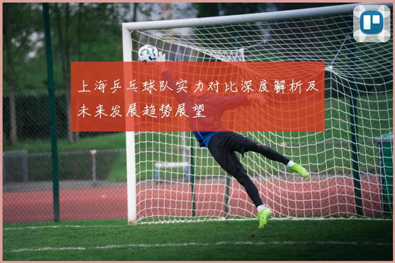 上海乒乓球队实力对比深度解析及未来发展趋势展望