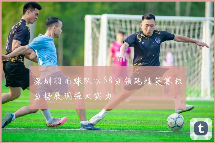 深圳羽毛球队以58分领跑精英赛积分榜展现强大实力