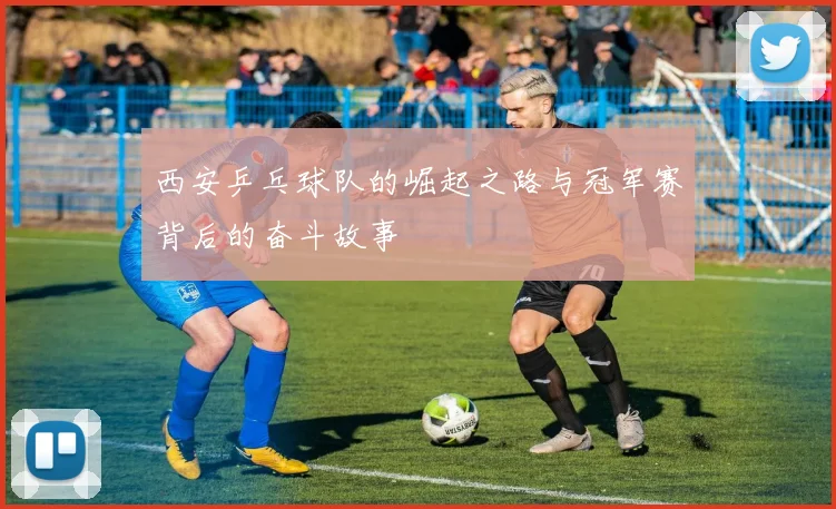 西安乒乓球队的崛起之路与冠军赛背后的奋斗故事