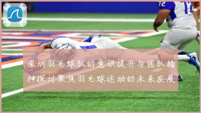 深圳羽毛球队的意识提升与团队精神探讨聚焦羽毛球运动的未来发展