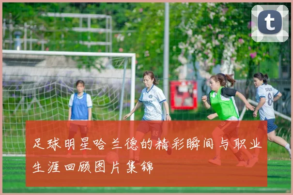 足球明星哈兰德的精彩瞬间与职业生涯回顾图片集锦